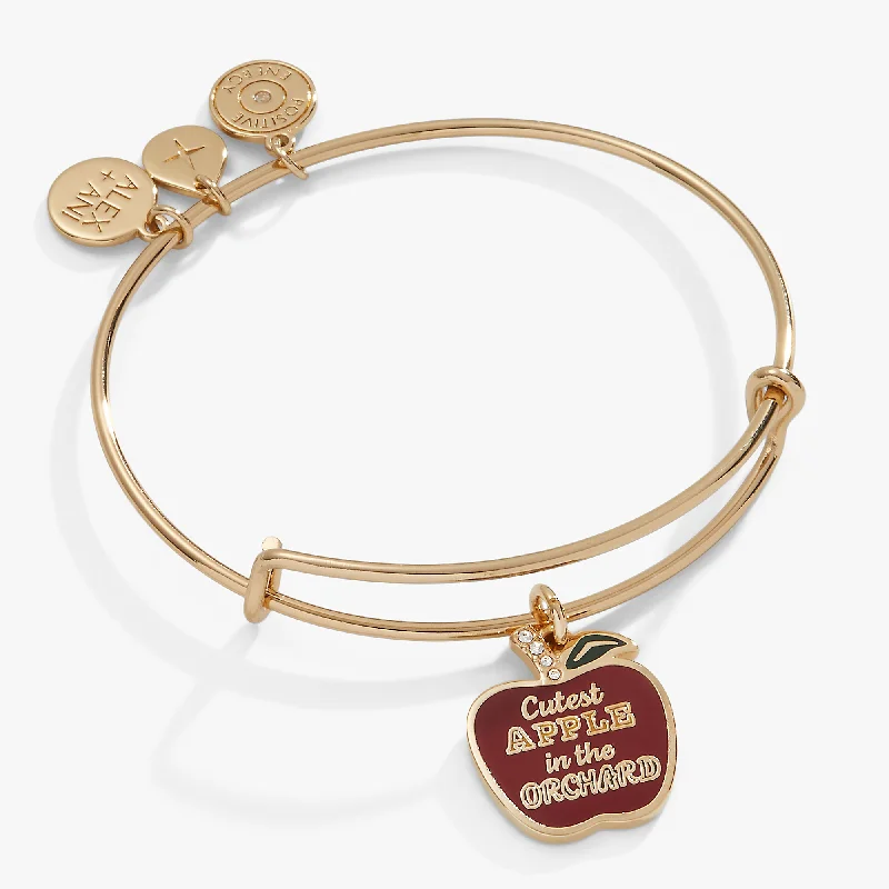 adjustable toe ring silver Apple Orchard Charm Bangle